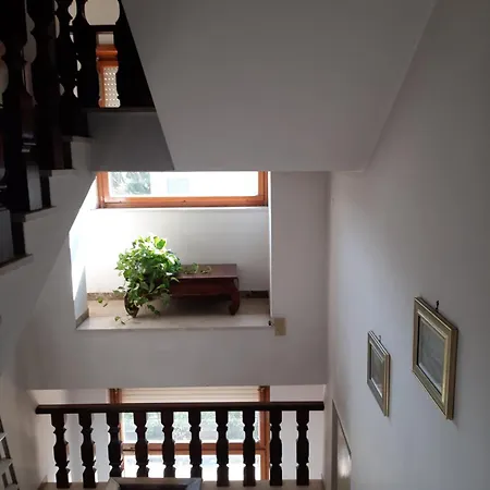 La Maison Verte-2