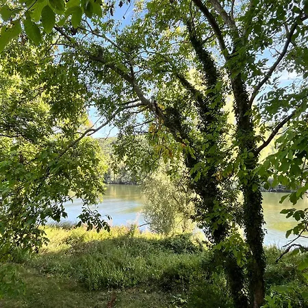 Cabane Dans Les Arbres Avec Bain Nordique-2