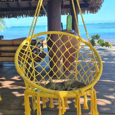 Fare Tokoau Moorea-3