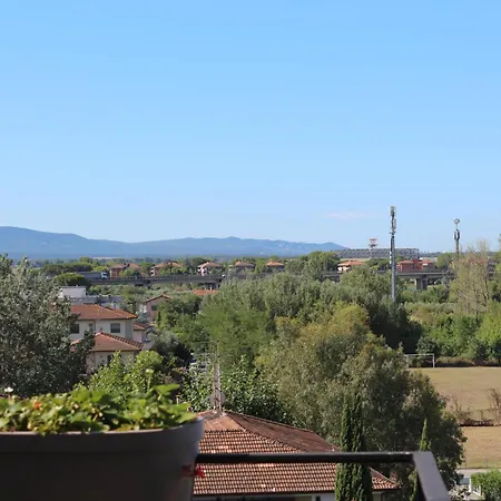 Pisa dall'alto-2