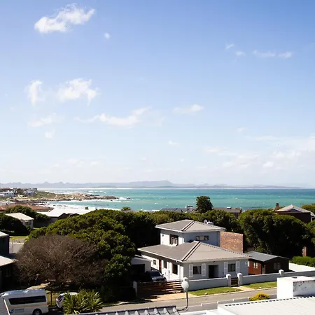 White Shark Guest House-3