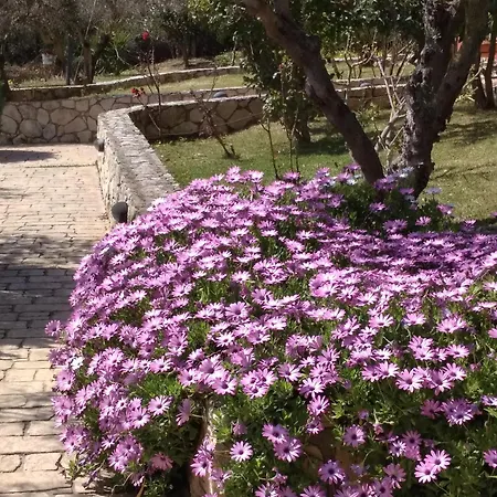 Volidiera Guesthouse-2