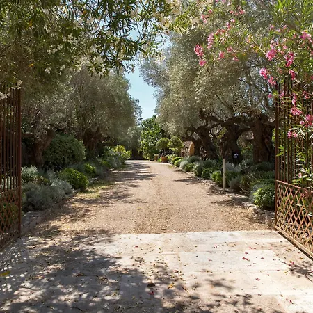 Domaine Les Mesanges-2