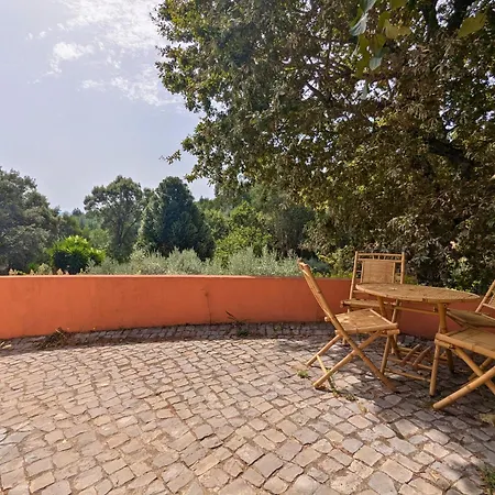 Quinta Dos Sarilhos-3