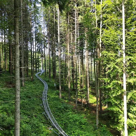 Fürstensteiner Hof, Ihr Urlaub im Herzen des Bayerischen Waldes-3