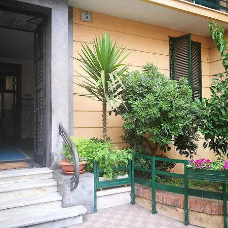 Palma-2