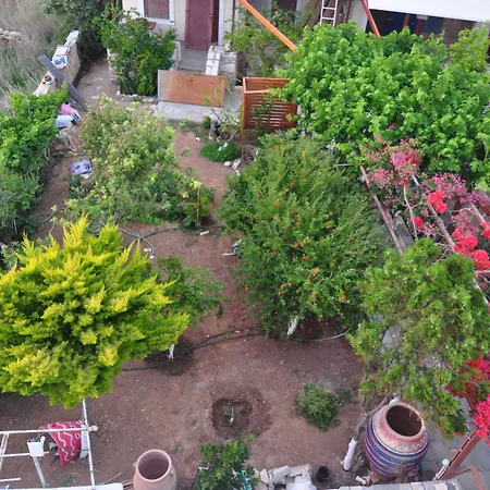 Villa Mata-3