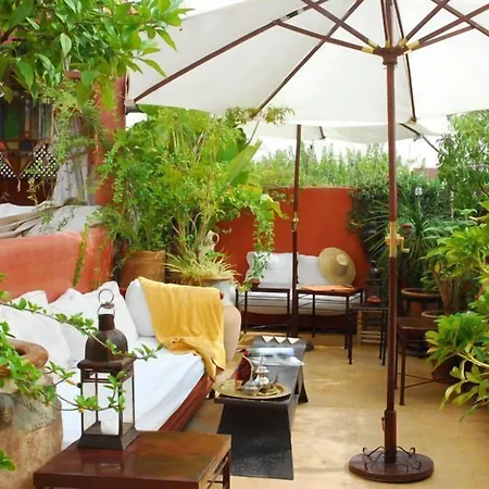 Riad La Terrasse Des Oliviers-2