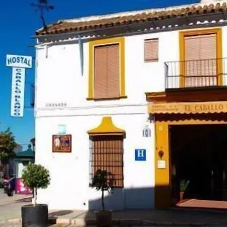 Hostal El Caballo Blanco-3