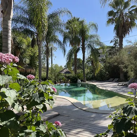 Cannes Villa St Barth-2