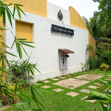 The Banyan Soul-3