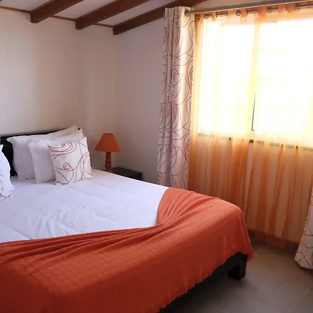 Pico Dreams-2