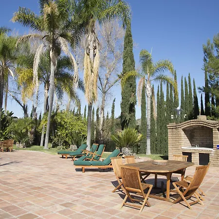 Vineyard Hacienda-2
