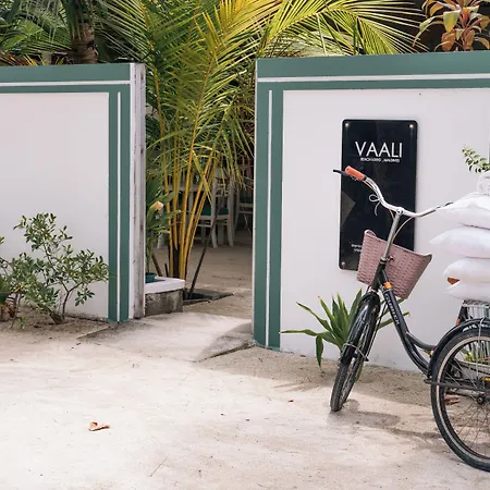 Vaali Maldives Island Escapes & Dive-3