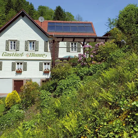 Hotel - Gasthof Blume-2