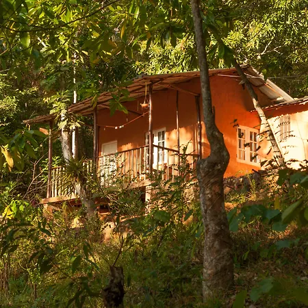 Polwaththa Eco Lodges-2