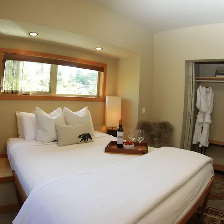 Black Bear Guesthouse-2