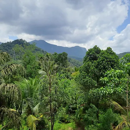 Alankara Nature Resort-2