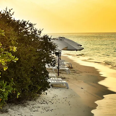 Dhiffushi White Sand Beach-2