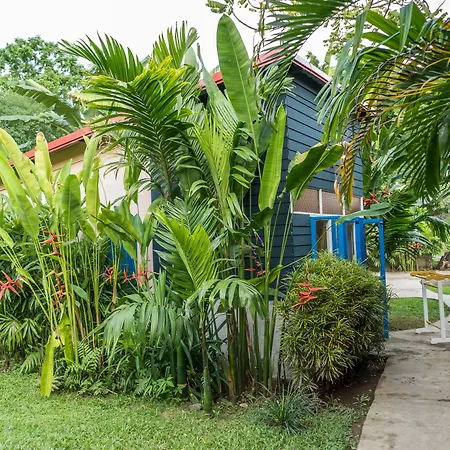 Canary Guesthouse-3