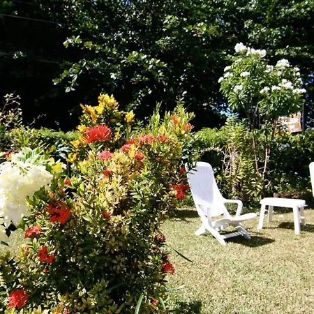 Rising Sun Guesthouse-2