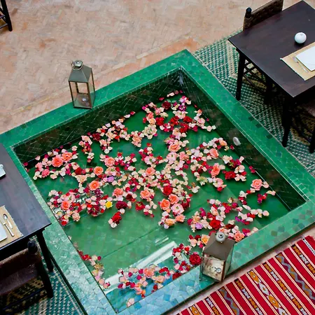 Riad Haraka-2