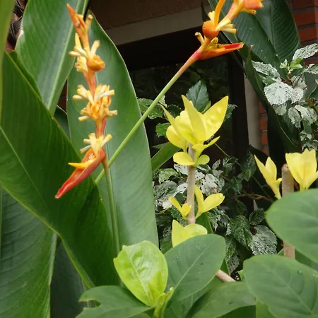 Tirta Sari Bungalow-3