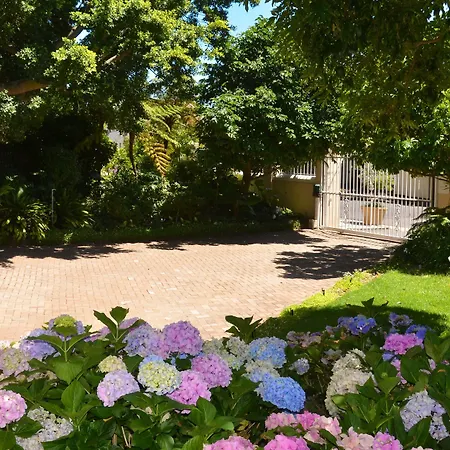 Medindi Manor-2