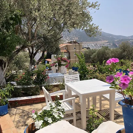 Lizo Hotel-3