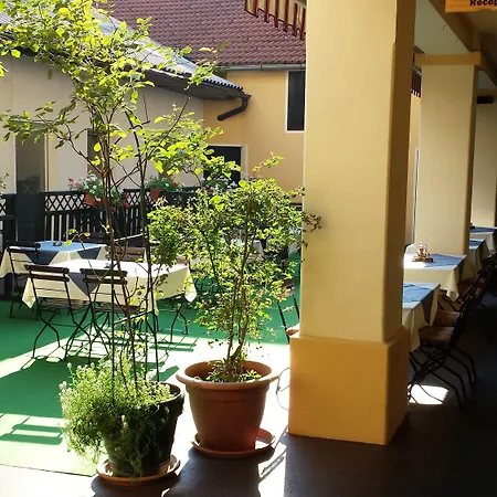 Guesthouse Stari Tisler-3