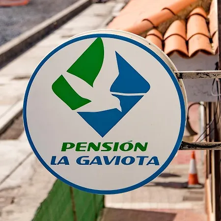 Pension La Gaviota-3