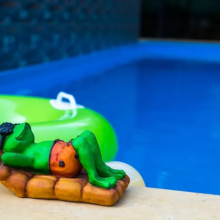 Lazy Frog Guest House-2