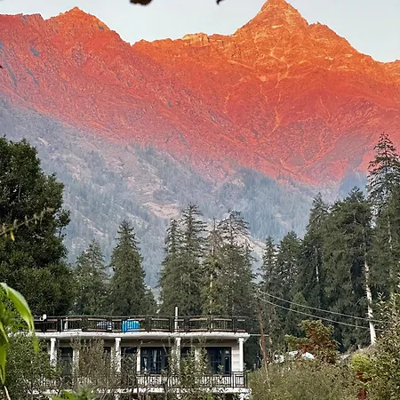 Rare House-3