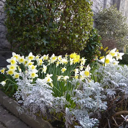 The Grange Guest House-2