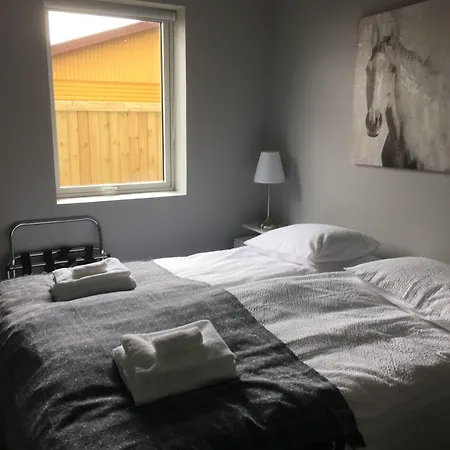 Reykjadalur Guesthouse-3
