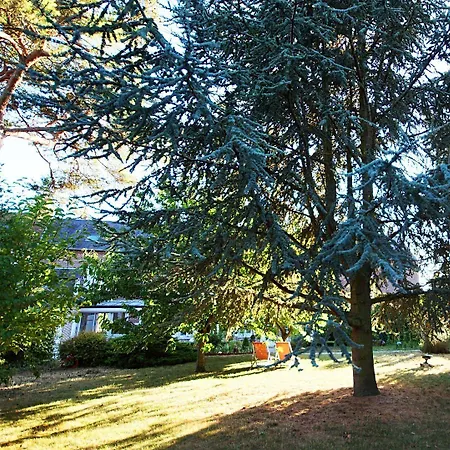 La Salamandre-3