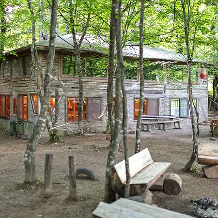 Hindiba Doga Evi-3
