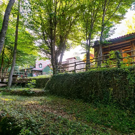 Hindiba Doga Evi-2