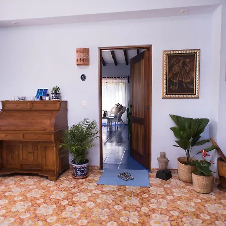 Casa Nawalli Pickleball Resort & Retreats Adults Only-3