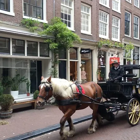 Amsterdam Barangay-2