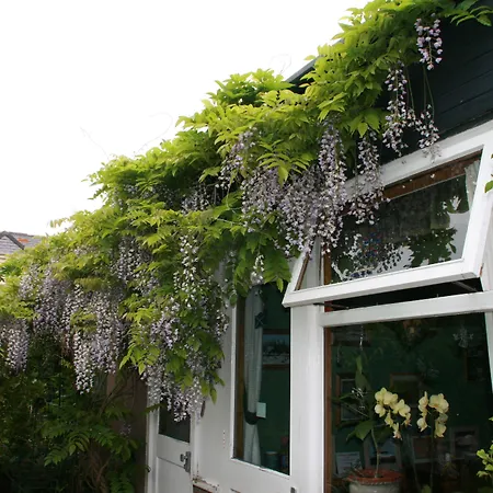 Greenlawns-2