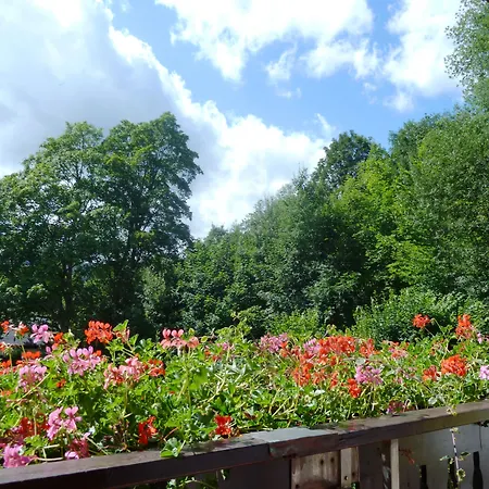 Pension Haus Waldfrieden-2