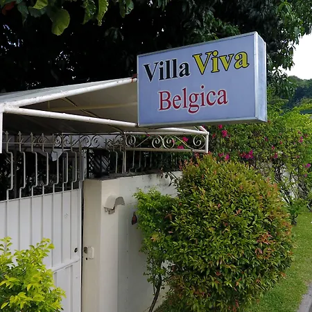 Villa Viva Belgica-3