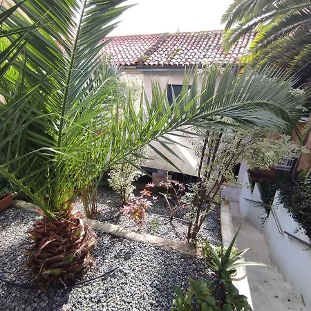 Pensión Los Patios de Santander-3