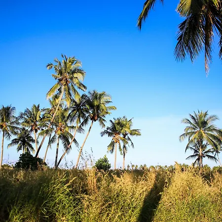 Evila Inn - Thoddoo-2