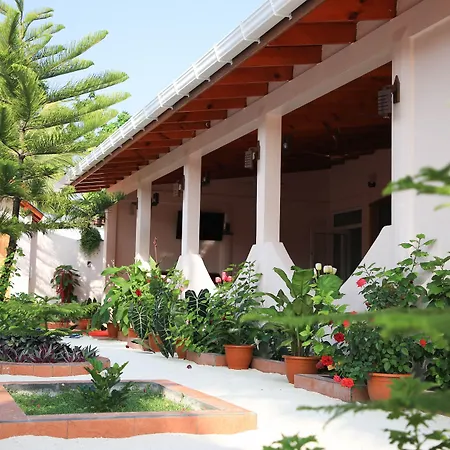 Evila Inn - Thoddoo-3