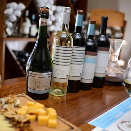 Casa De Huespedes Bodega Gimenez Riili-2