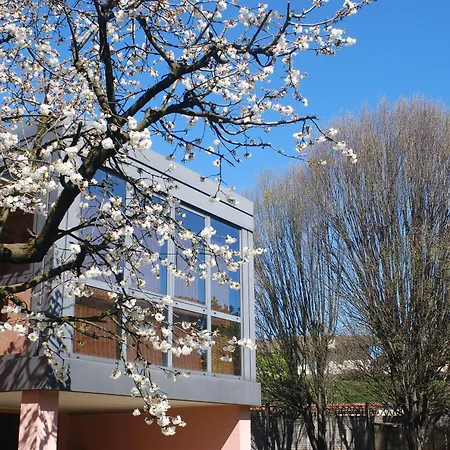 Beija-Flor B&B-2