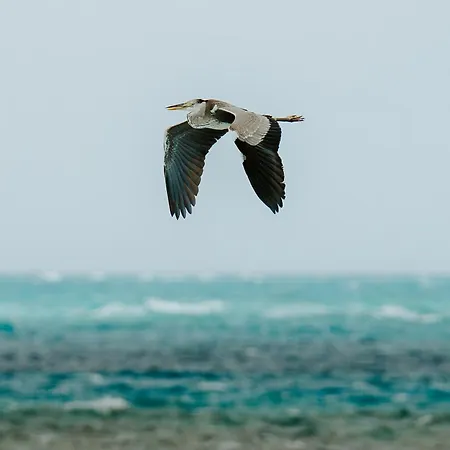 Akiri Surf Retreat-2
