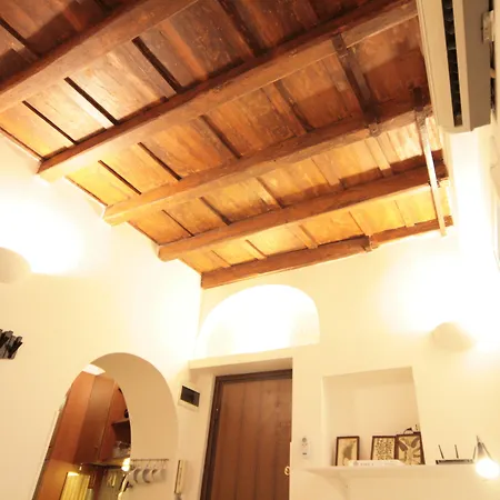 House Monti 1875-2